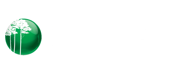 Grupo RB Logo